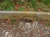 image of grave number 140979